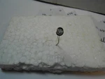 3170-18 Hickok Photo Electric Cell New Old Stock. Fixed Price $10.00.